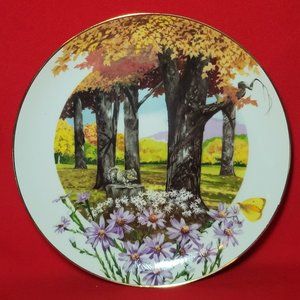 VTG Decorative Plate Royal Windsor Frost Aster Wildflowers of the South